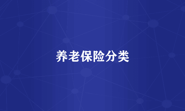养老保险分类