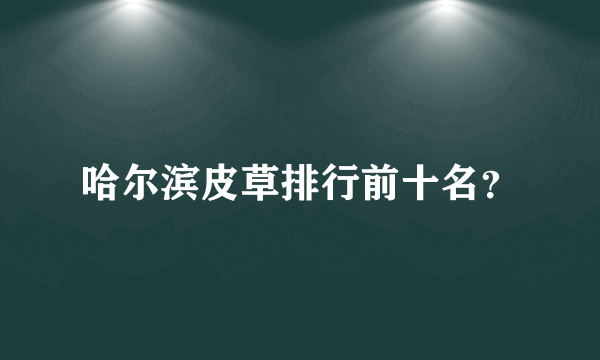 哈尔滨皮草排行前十名？