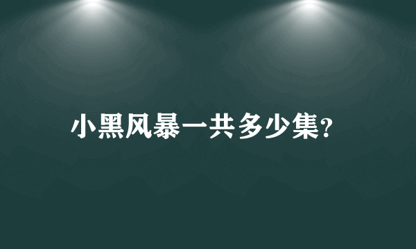 小黑风暴一共多少集？