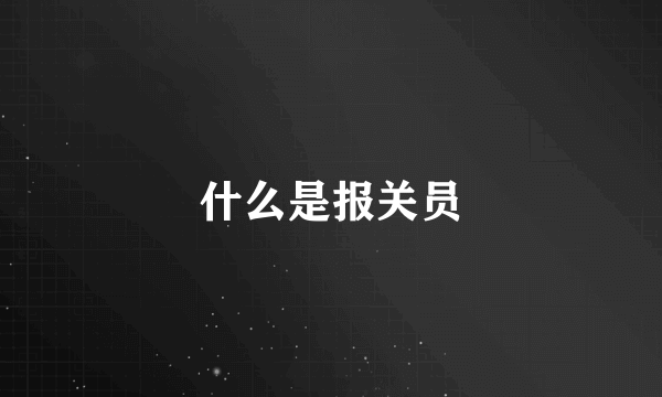 什么是报关员