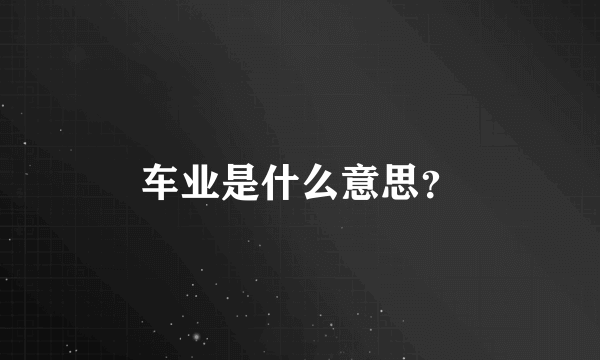 车业是什么意思？