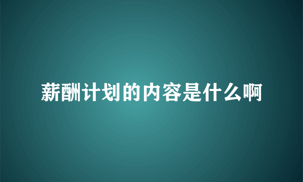 薪酬计划的内容是什么啊