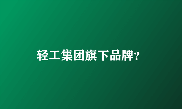 轻工集团旗下品牌？