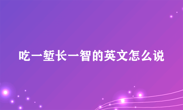 吃一堑长一智的英文怎么说