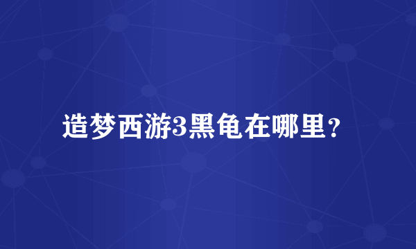 造梦西游3黑龟在哪里？