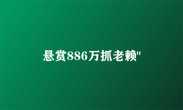 悬赏886万抓老赖