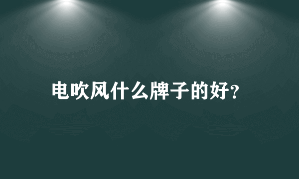 电吹风什么牌子的好？