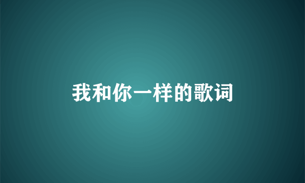 我和你一样的歌词
