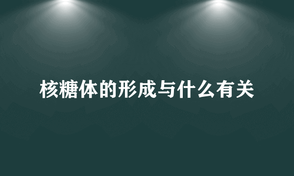 核糖体的形成与什么有关