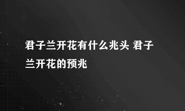 君子兰开花有什么兆头 君子兰开花的预兆