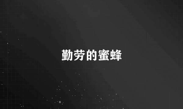 勤劳的蜜蜂