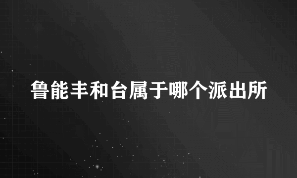 鲁能丰和台属于哪个派出所