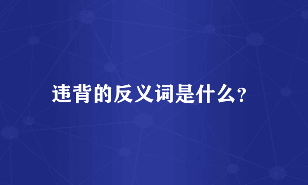 违背的反义词是什么？