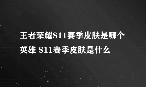 王者荣耀S11赛季皮肤是哪个英雄 S11赛季皮肤是什么