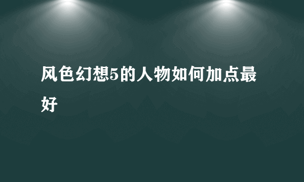 风色幻想5的人物如何加点最好