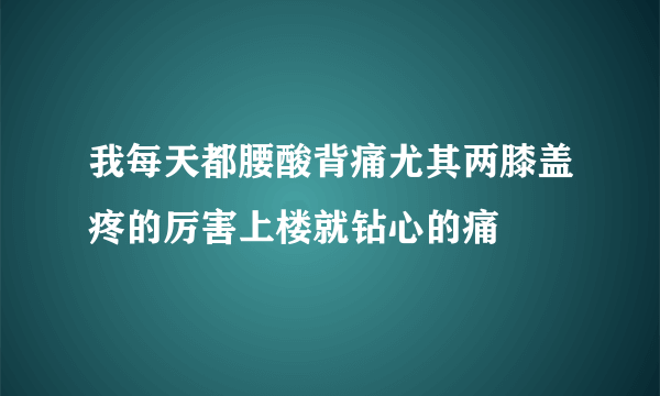 我每天都腰酸背痛尤其两膝盖疼的厉害上楼就钻心的痛