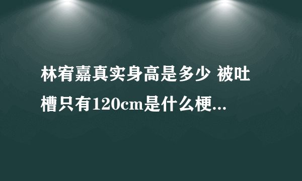 林宥嘉真实身高是多少 被吐槽只有120cm是什么梗_飞外网