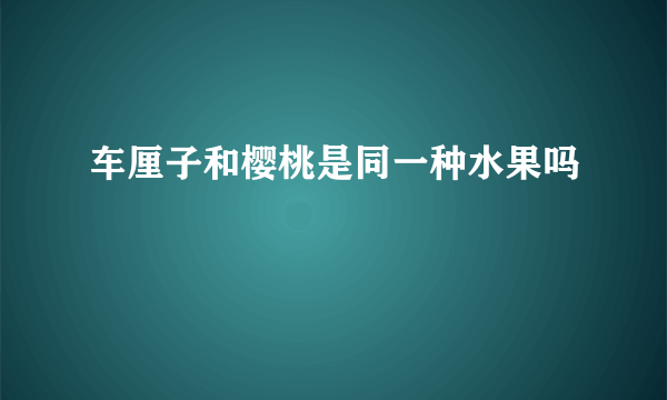 车厘子和樱桃是同一种水果吗