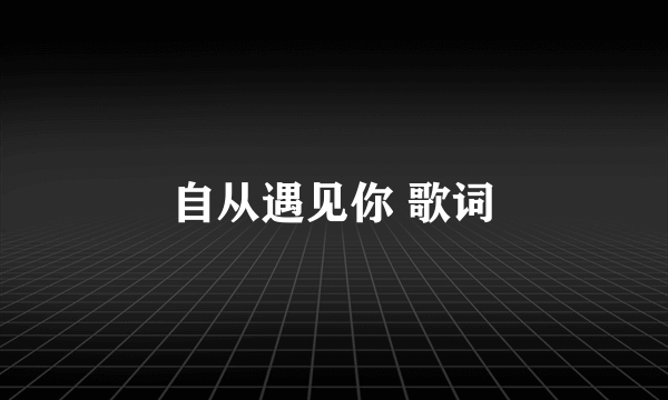 自从遇见你 歌词