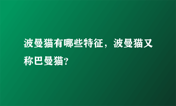 波曼猫有哪些特征，波曼猫又称巴曼猫？