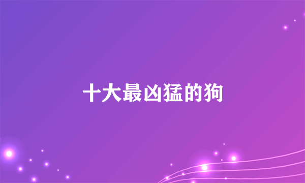 十大最凶猛的狗