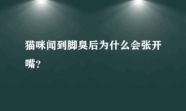 猫咪闻到脚臭后为什么会张开嘴？